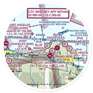 Blue Ribbon Airport (WN29) VFR Sectional Sticker (20 mile)