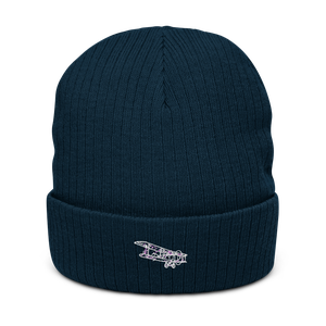 Albatros C.XII Reconnaissance Ace Atlantis Recycled Cuffed Beanie