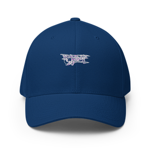 Avro 504: WWI Aviation Icon 2 Flexfit Hat