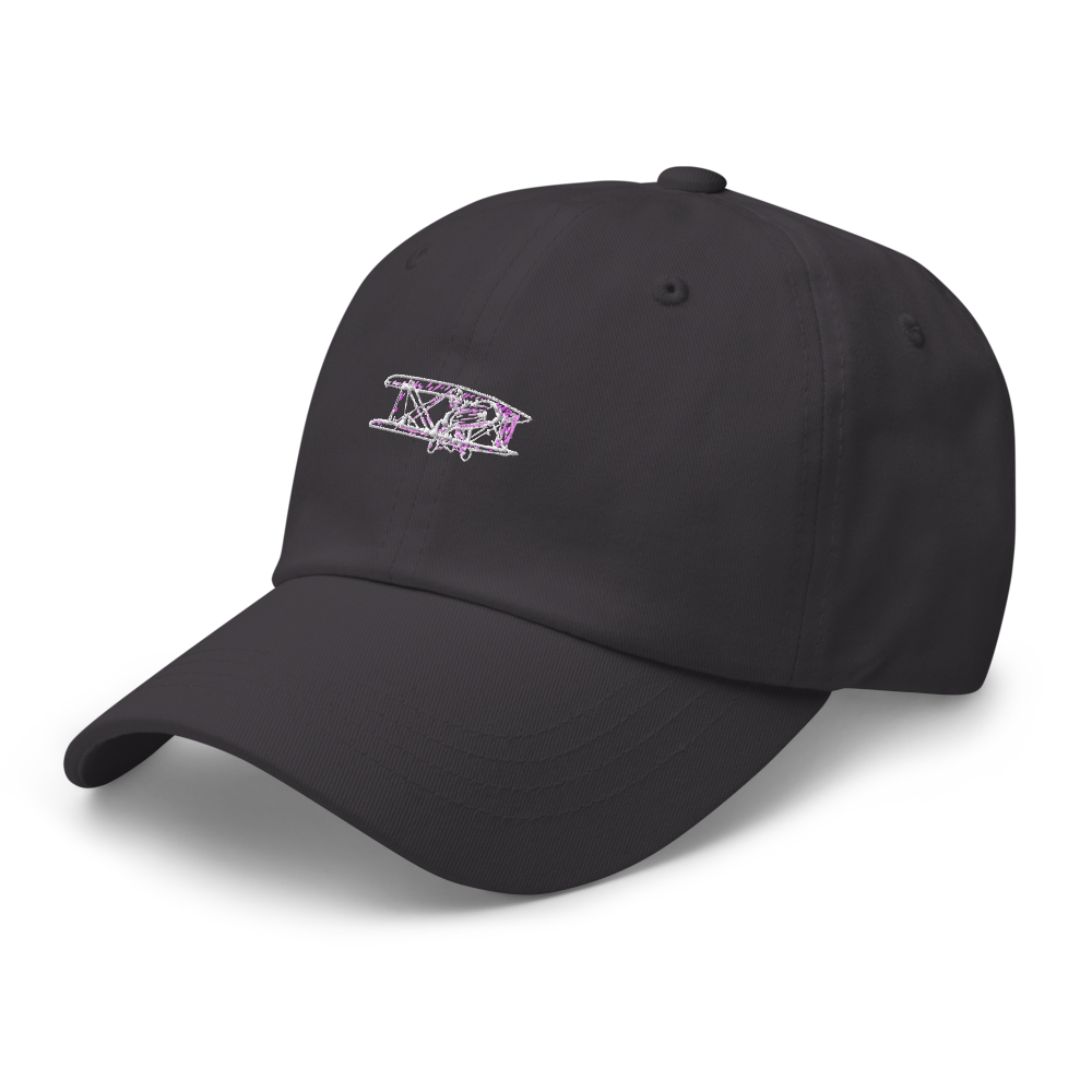 Mysterious WWI Aircraft P.B. 25 Hat 