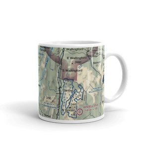 Mach Personal Strip (VT20) VFR Sectional  Mug