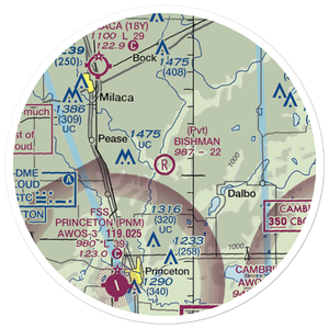 Bishman Private Airport (90MN) VFR Sectional Sticker (20 mile)