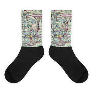 Shockly Field (2MS3) VFR Sectional Socks
