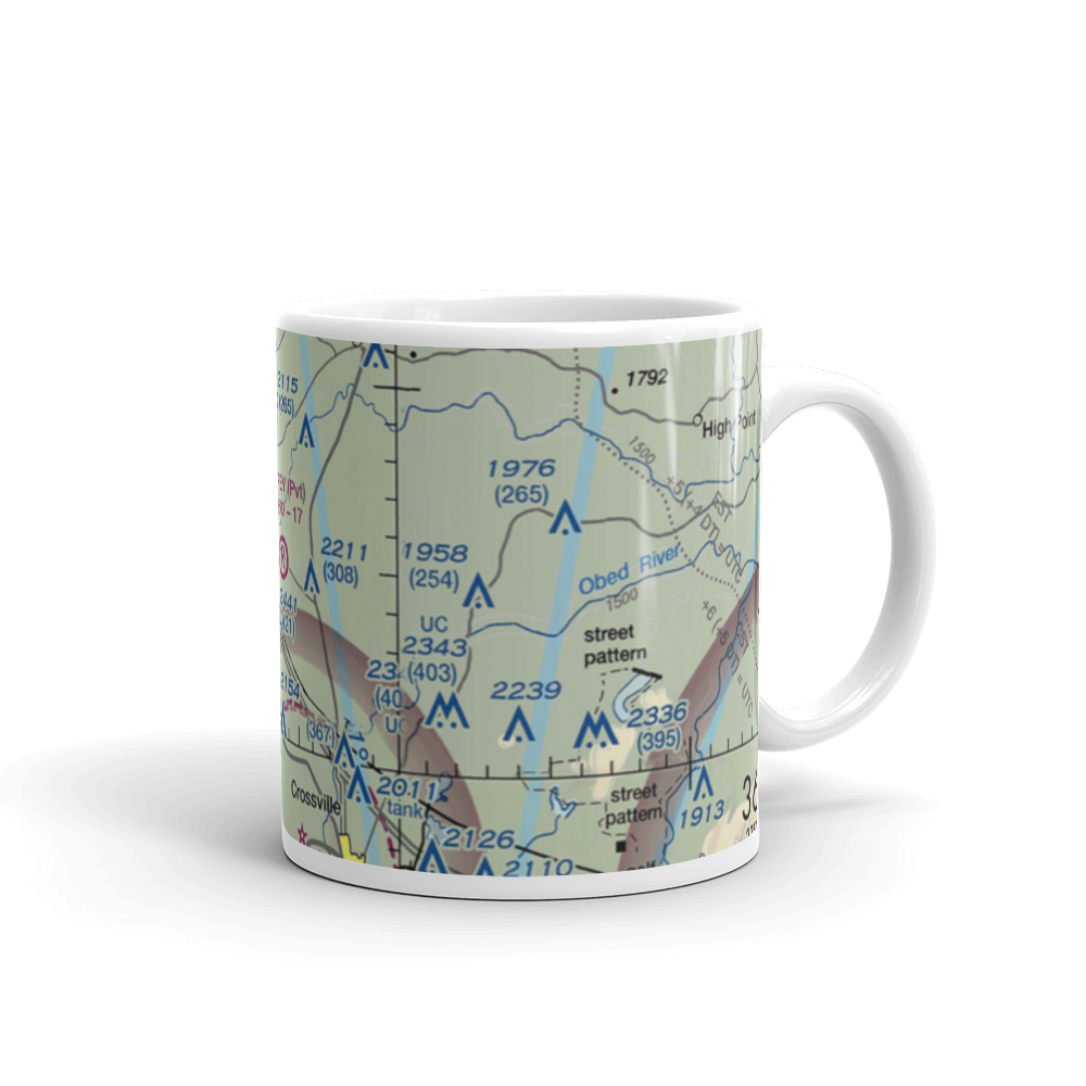 Carey Airport (TN56) VFR Sectional  Mug 