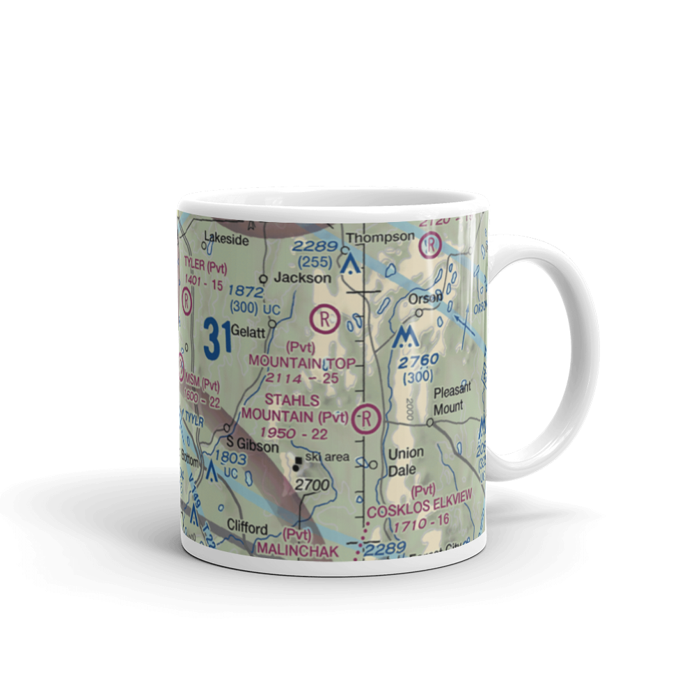 MSM Airport (PS50) VFR Sectional  Mug 