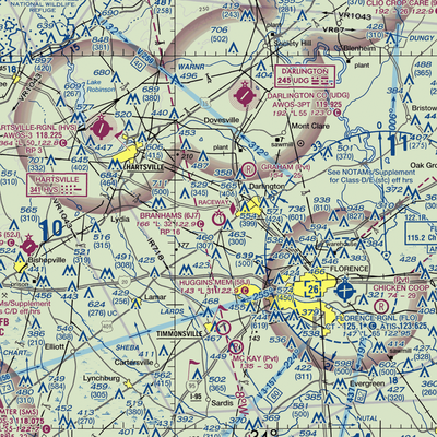 Branhams Airport (6J7) VFR Sectional  Gaming Mouse Pad