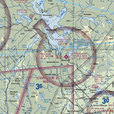 Currier's Seaplane Base (21M) VFR Sectional  Gaming Mouse Pad