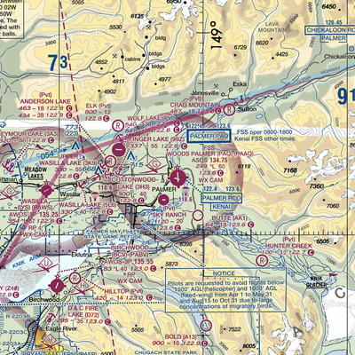 Warren Bud Woods Palmer Municipal Airport (PAQ) VFR Sectional  Gaming Mouse Pad