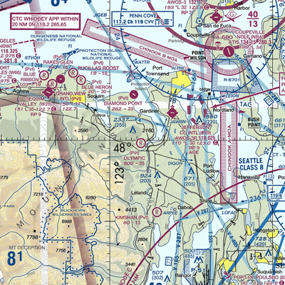 Olympic Field (WA45) VFR Sectional  Gaming Mouse Pad