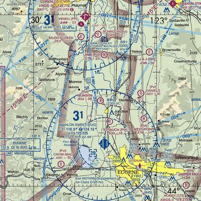 Munson Airport (OG36) VFR Sectional  Gaming Mouse Pad