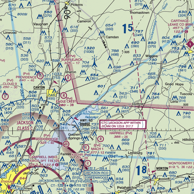 Pace Airstrip (MS29) VFR Sectional  Gaming Mouse Pad