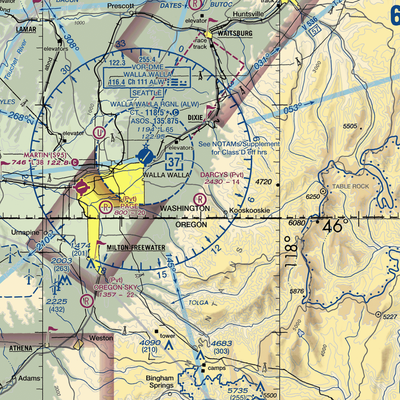 Darcy's Air Strip (83WA) VFR Sectional  Gaming Mouse Pad