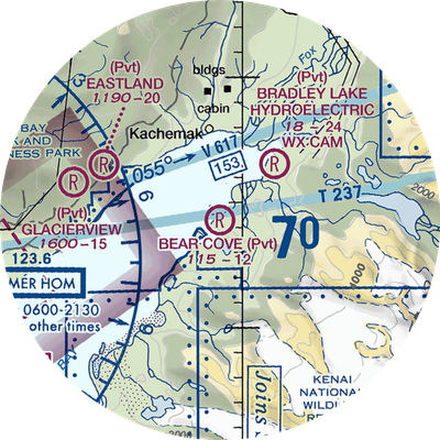 Bear Cove Farm Airport (46AK) VFR Sectional Samsung Case