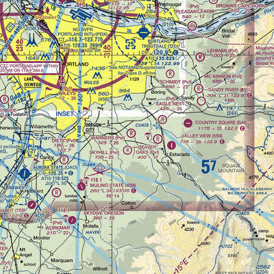 Warner's Airport (20OR) VFR Sectional  Gaming Mouse Pad