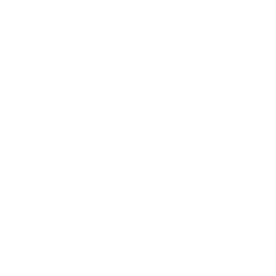 Diomede (DM2) Airport Hoodie Sweatshirt