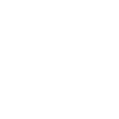 Bluffton (C40) Airport Hoodie Sweatshirt