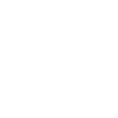 Palmer (AK1) Airport Hoodie Sweatshirt