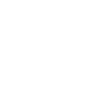 Eagle (PAEG) Airport Hoodie Sweatshirt