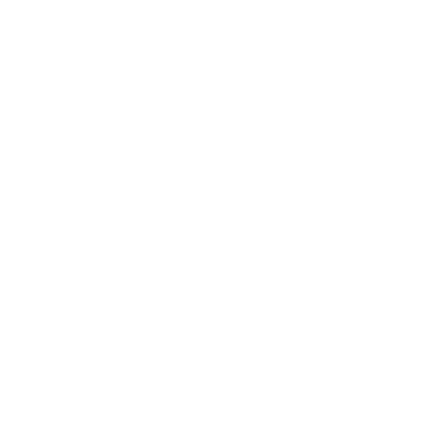 Albany (54W) Airport Hoodie Sweatshirt