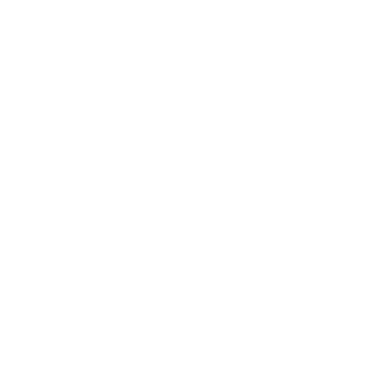 Bowie (W00) Airport Tri-blend T-Shirt