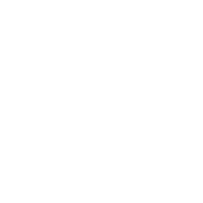 Paw Paw (2C5) Airport Hoodie Sweatshirt