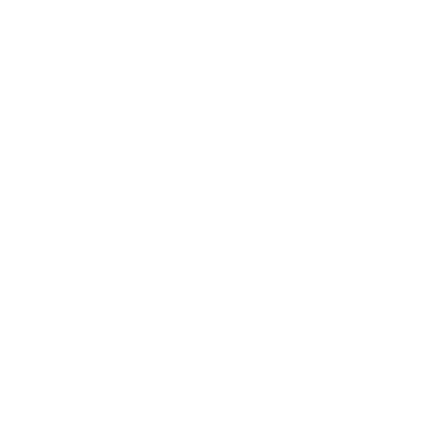 Carleton (W87) Airport Hoodie Sweatshirt