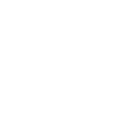 Phoenix (P18) Airport Hoodie Sweatshirt