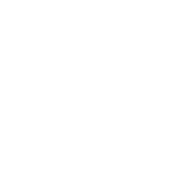 Palmyra (58N) Airport Hoodie Sweatshirt