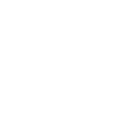 Newfane (85N) Airport Hoodie Sweatshirt