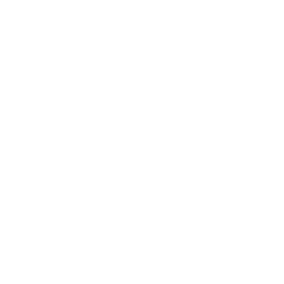 Salmon (KSMN) Airport Hoodie Sweatshirt