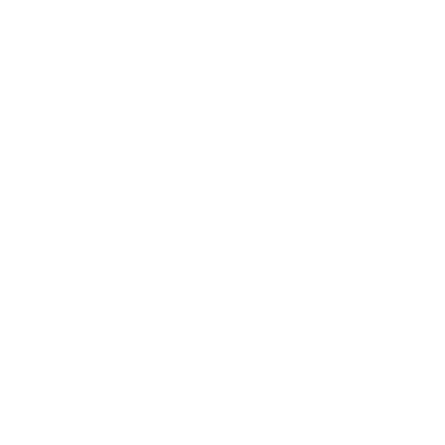 Jamestown (14I) Airport Hoodie Sweatshirt