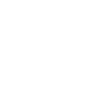 Palmetto (48X) Airport Hoodie Sweatshirt