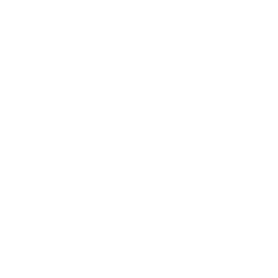 Delavan (C59) Airport Hoodie Sweatshirt