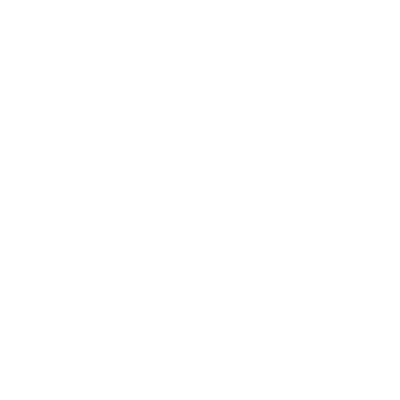 Newton (3N5) Airport Hoodie Sweatshirt