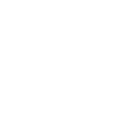 Walt Disney World (DWS) Airport Hoodie Sweatshirt