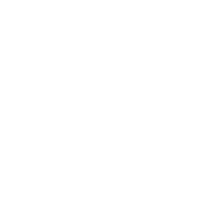 Delphi (1I9) Airport Hoodie Sweatshirt