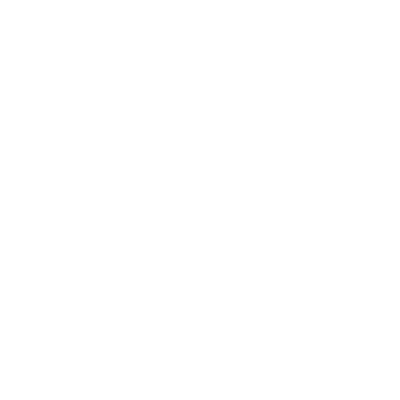 Buffalo (D51) Airport Hoodie Sweatshirt