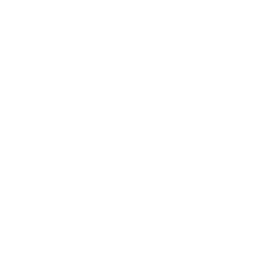 Palmer (T13) Airport Hoodie Sweatshirt