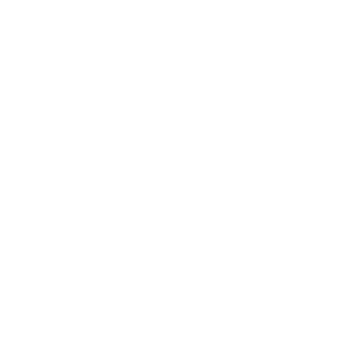 Zellwood (X61) Airport Hoodie Sweatshirt