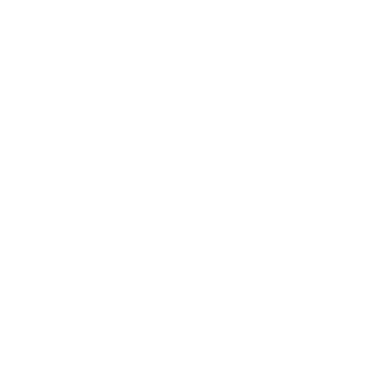 Palmyra (K5K1) Airport Hoodie Sweatshirt