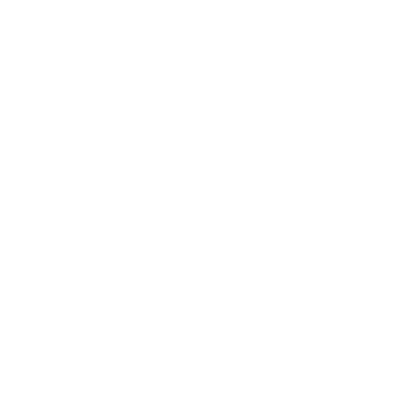 Napoleon (3NP) Airport Hoodie Sweatshirt