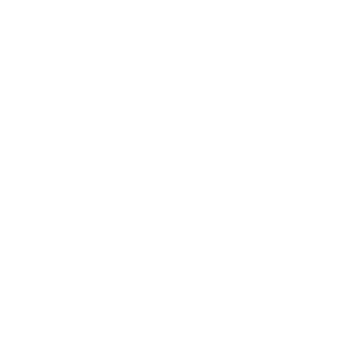 Stevensville (W29) Airport Hoodie Sweatshirt