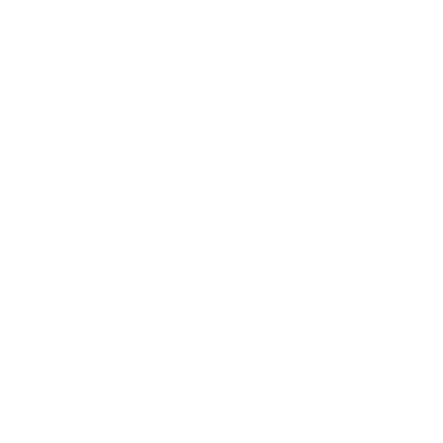 Aniak (PANI) Airport Hoodie Sweatshirt