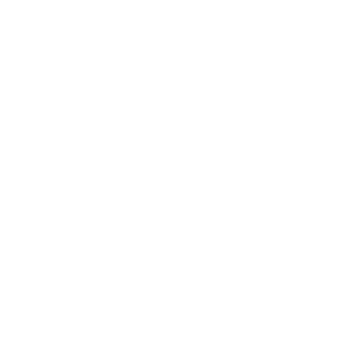 Napoleon (26W) Airport Hoodie Sweatshirt