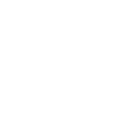 Birchwood (PABV) Airport Hoodie Sweatshirt
