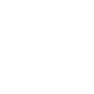 Mount Morris (C55) Airport Hoodie Sweatshirt