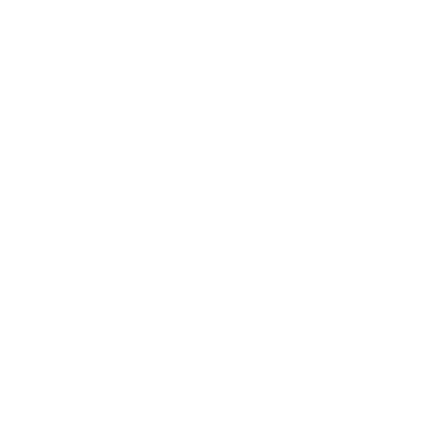 Bird City (5K0) Airport Hoodie Sweatshirt