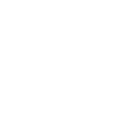 Napoleon (K7W5) Airport Hoodie Sweatshirt