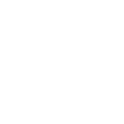 Dixie (A05) Airport Hoodie Sweatshirt