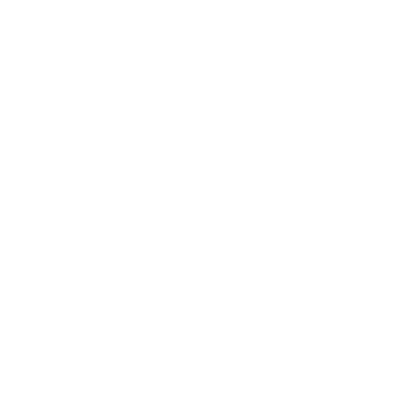 Alpine (1E2) Airport Hoodie Sweatshirt